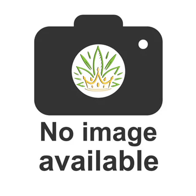 image not found
