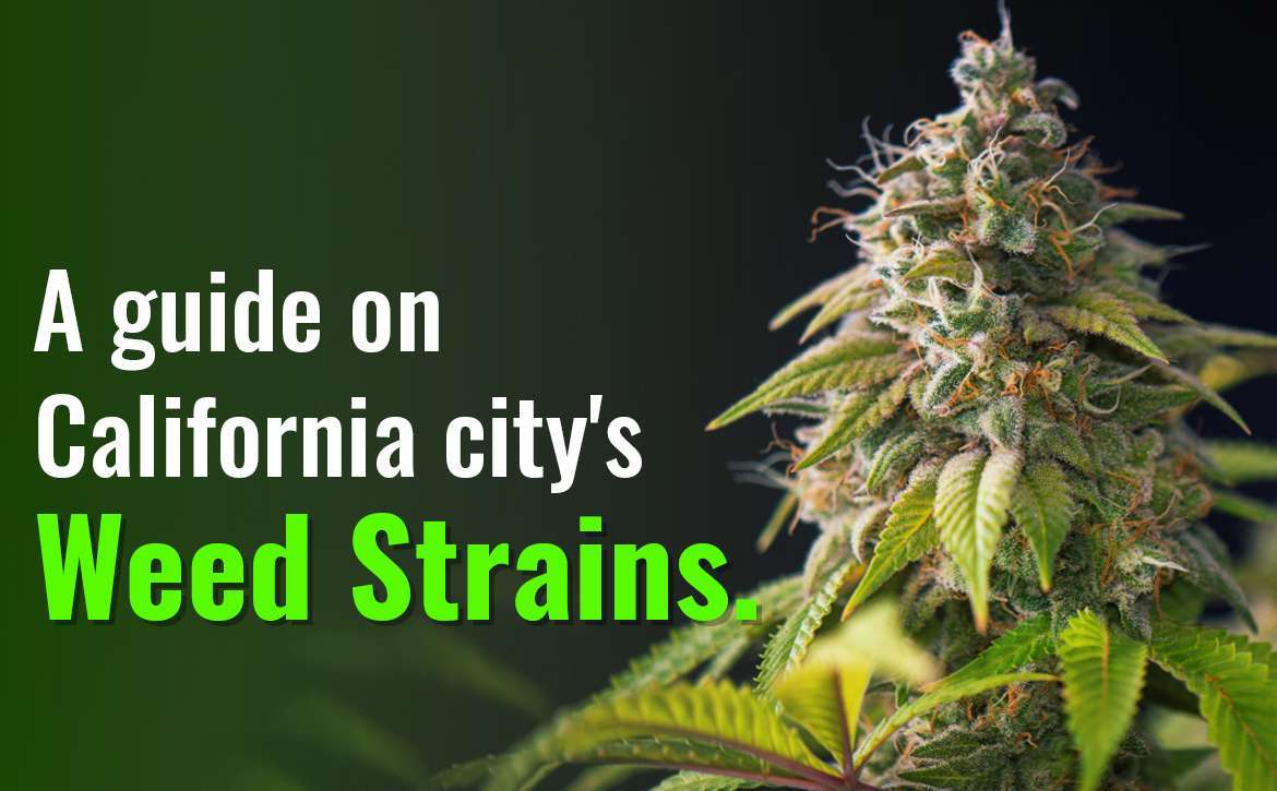 Guide on California City Weed Strains