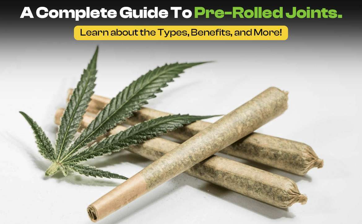 Guide to Pre-rolled Joints