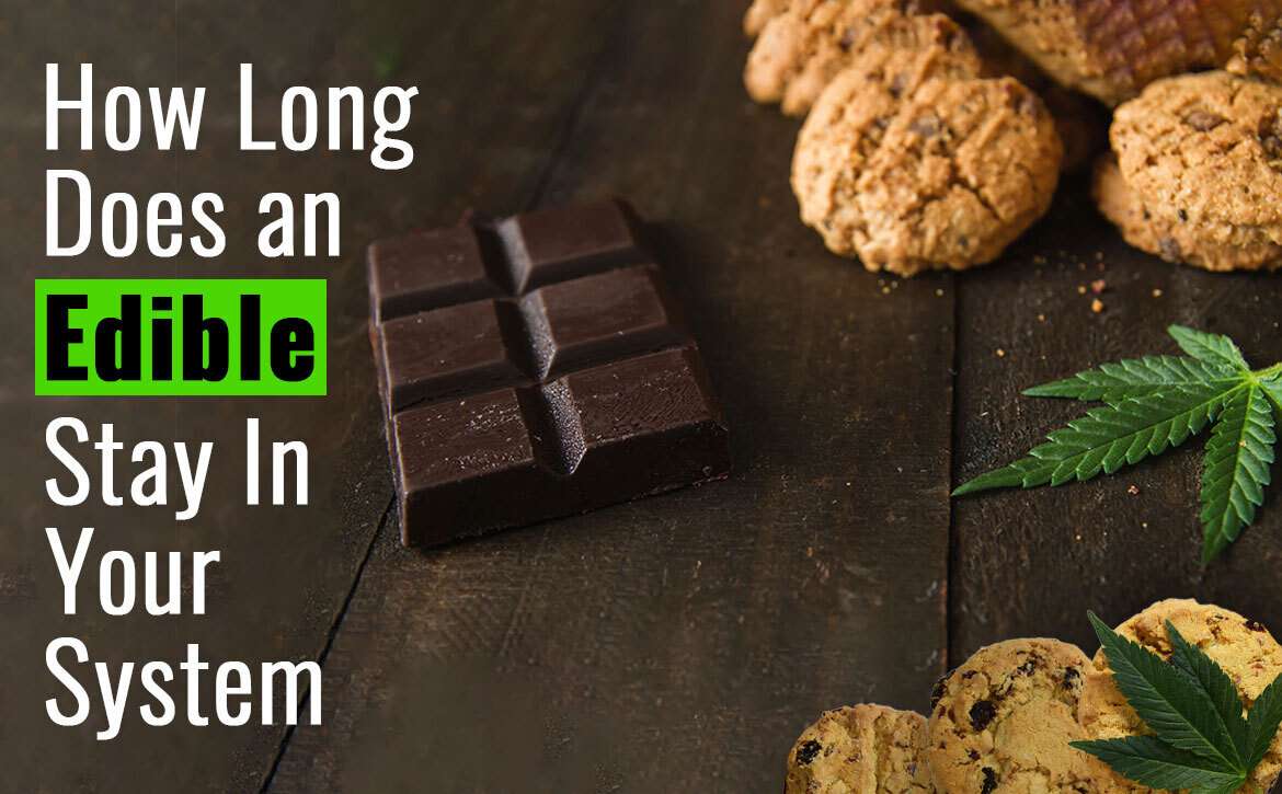 how long does an edible stay in your system
