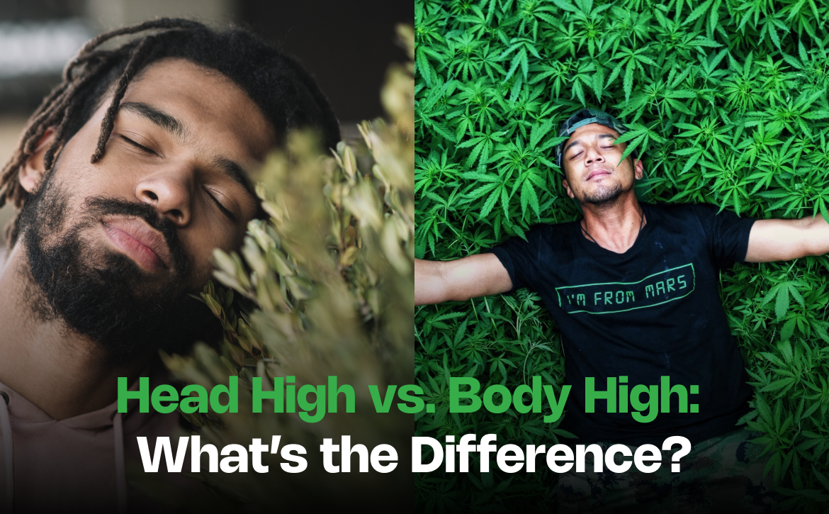 Head High vs. Body High