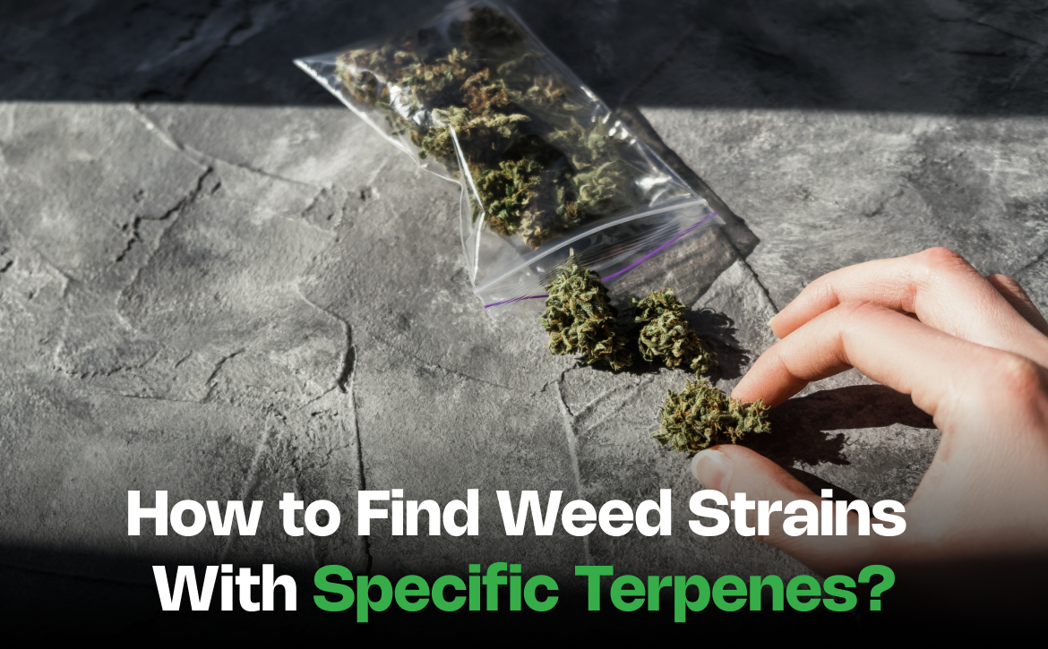 How to Find Weed Strains With Specific Terpenes