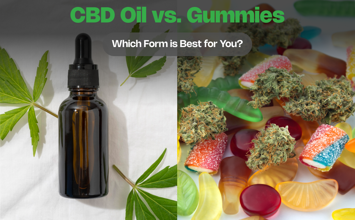 CBD Oil vs. Gummies_ Which Form is Best for You_